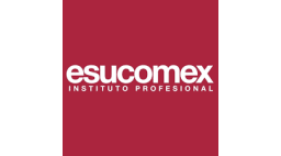 ESUCOMEX Professional Institute (Instituto Profesional ESUCOMEX)