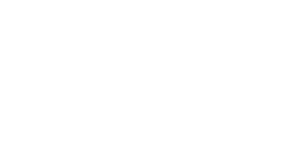 The Institute of International Studies