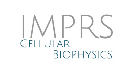 International Max Planck Research School on Cellular Biophysics
