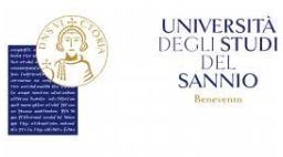University Of Sannio