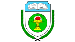 Dagon University