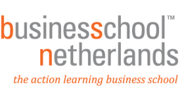 Business School Netherlands Nigeria