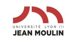 Jean Moulin Lyon 3 University