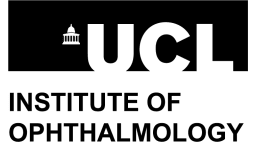UCL Institute of Ophthalmology