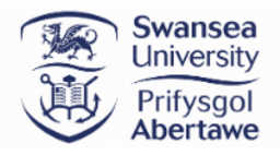 Swansea University