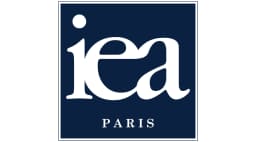 Institut Européen Des Affaires