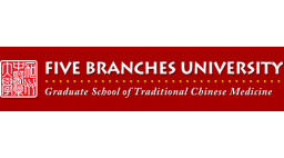 Five Branches University