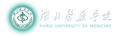 Hubei University of Medicine
