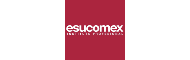 ESUCOMEX Professional Institute (Instituto Profesional ESUCOMEX)