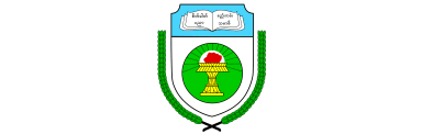 Dagon University