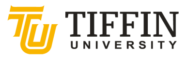 Tiffin University Bucharest