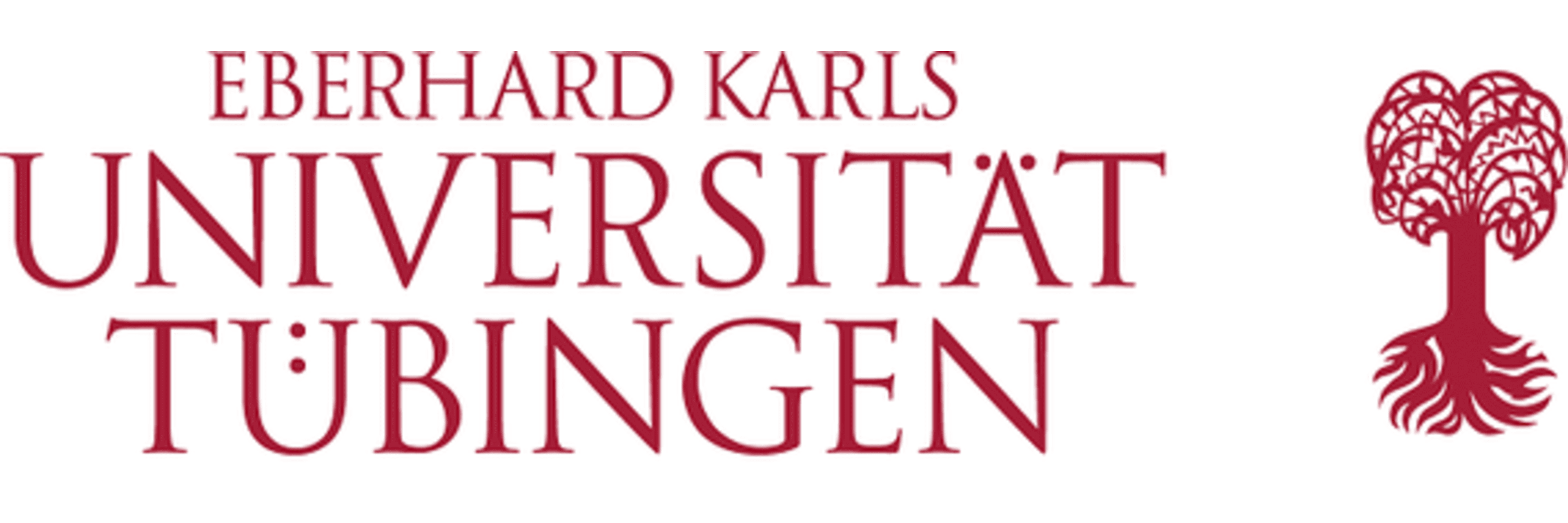 University Of Tuebingen