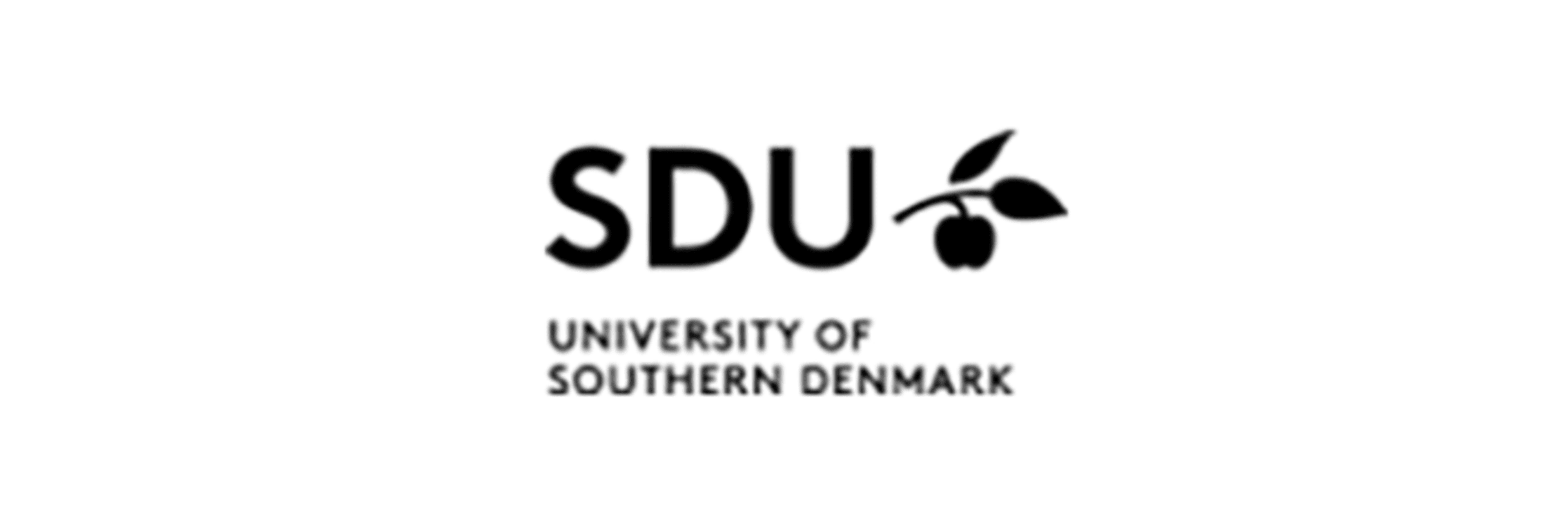 University of Southern Denmark