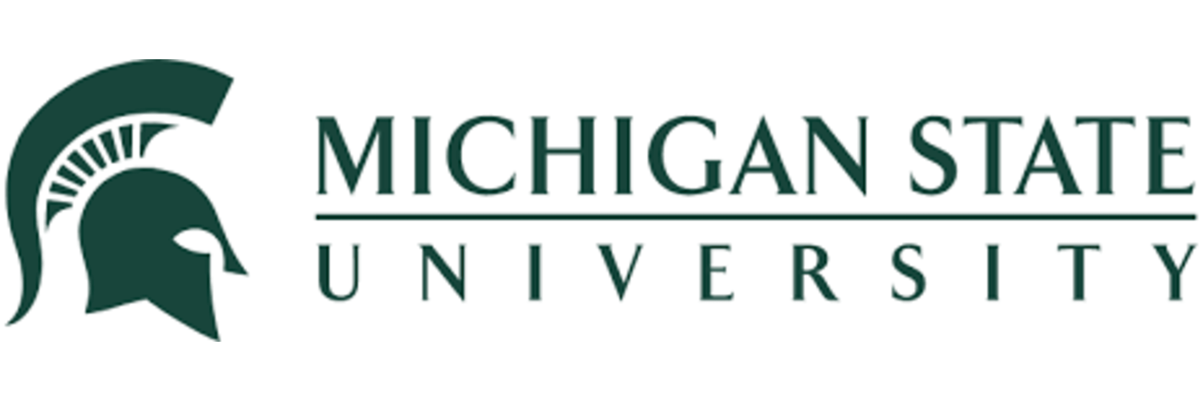 Michigan State University Online