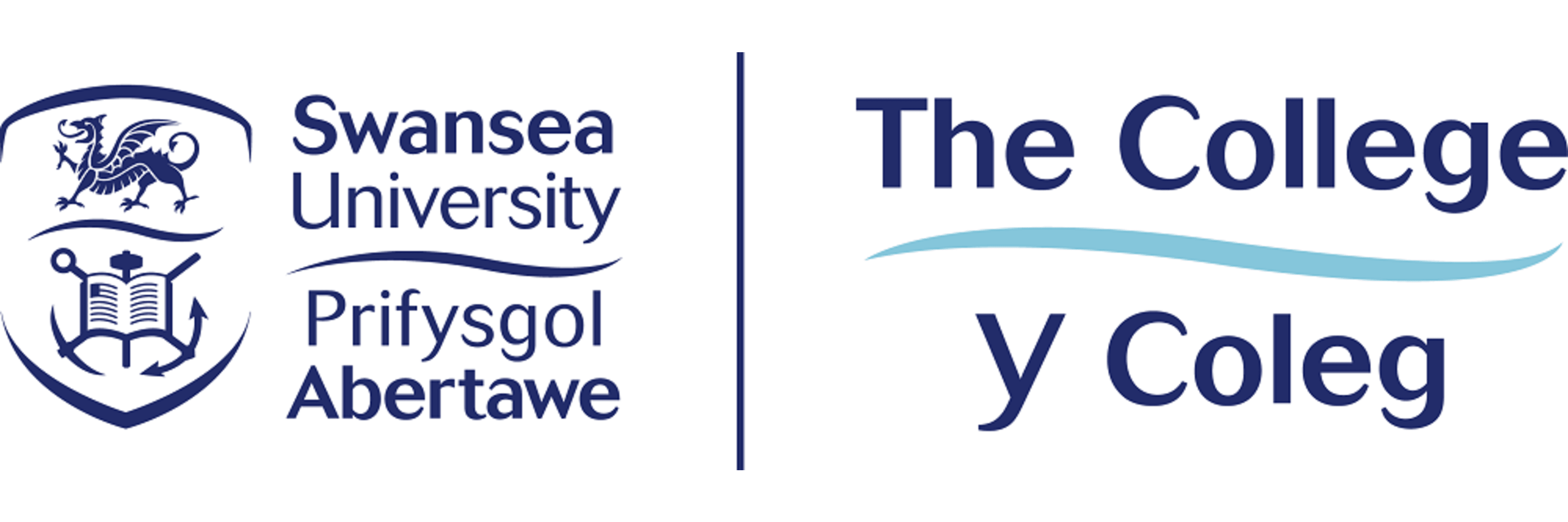 The College, Swansea University