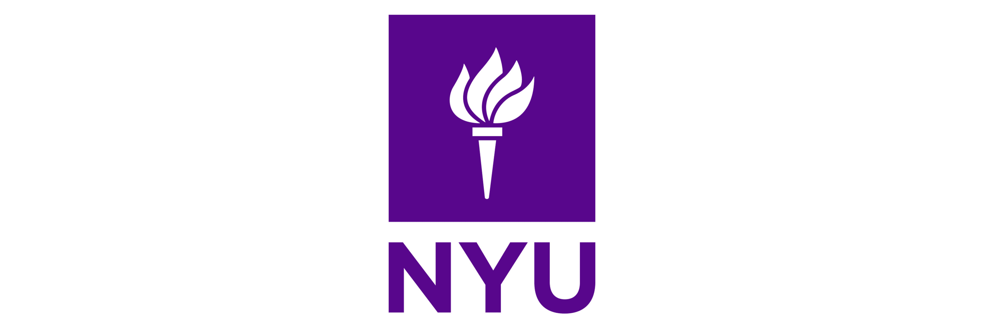 NYU Steinhardt School of Culture, Education and Human Development