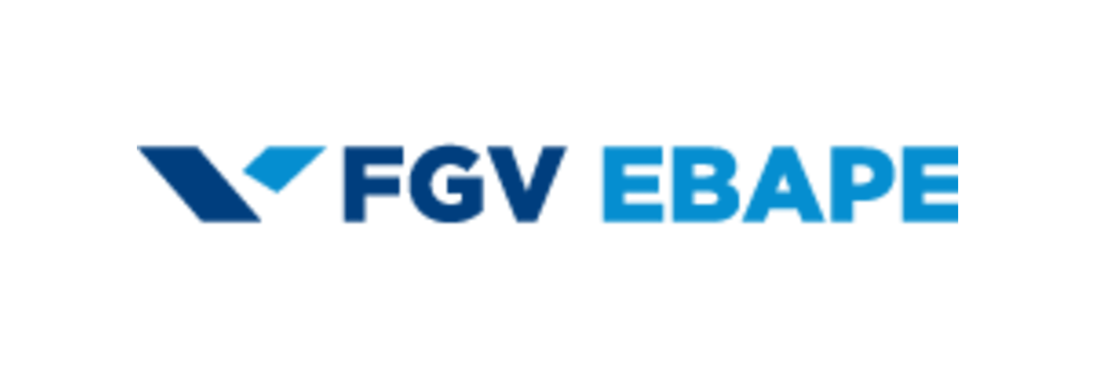 FGV EBAPE - Brazilian School of Public and Business Administration