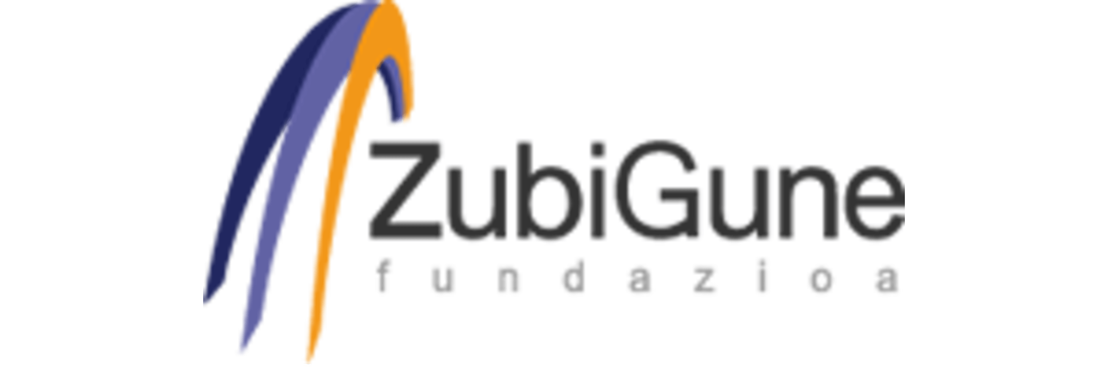 ZubiGune Fundazioa
