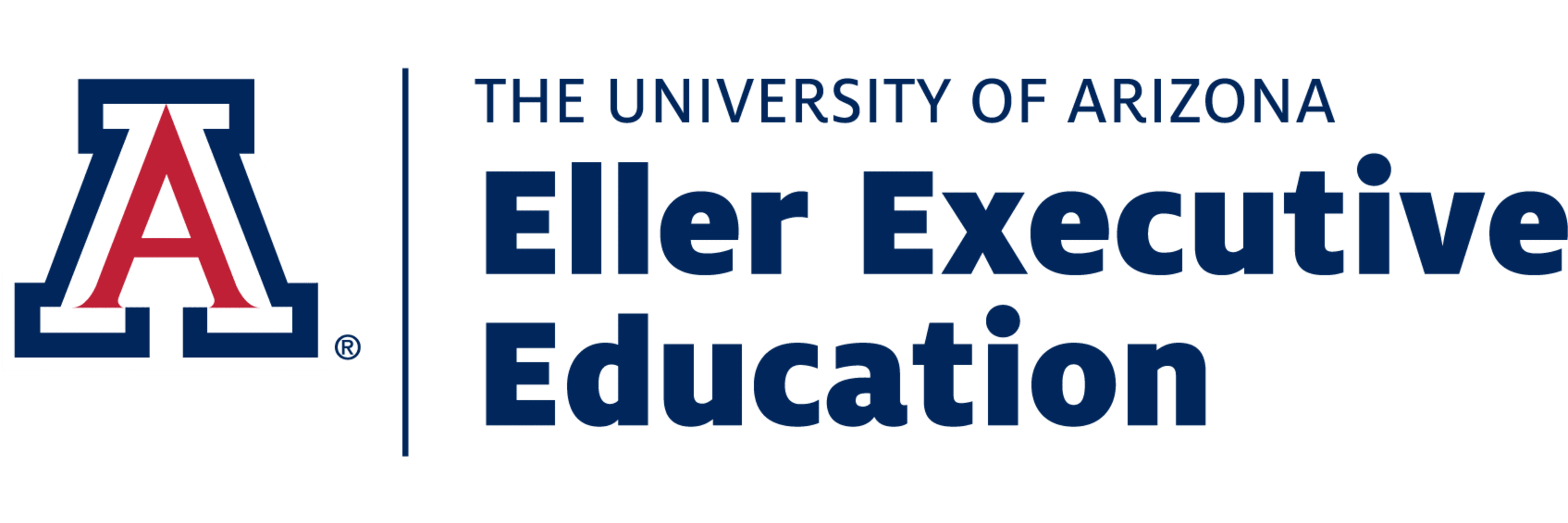 Dignity Health Global Education in collaboration with Eller Executive Education at the University of Arizona