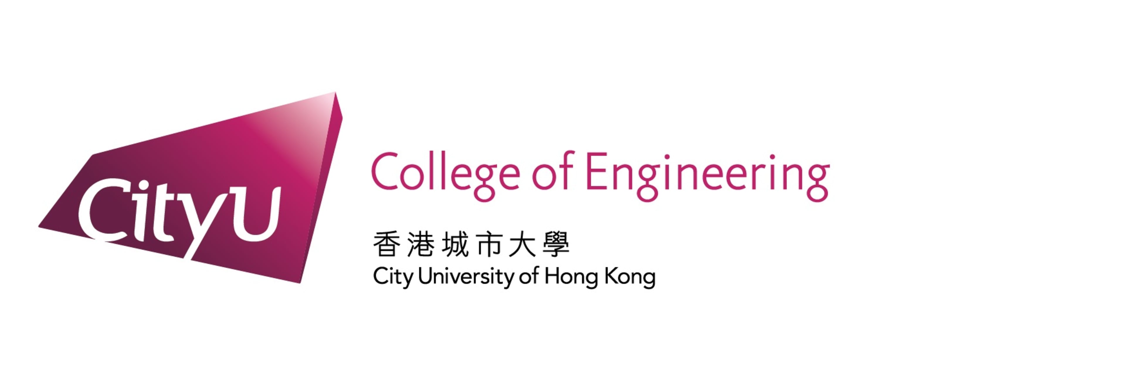 College of Engineering City University of Hong Kong