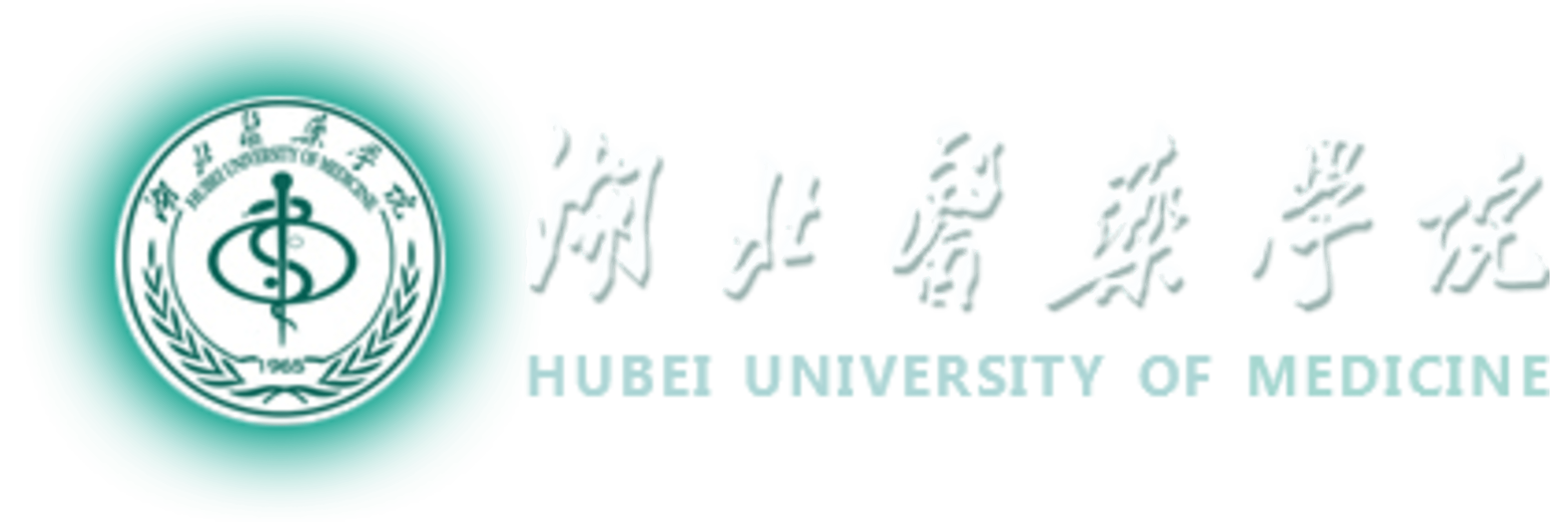Hubei University of Medicine