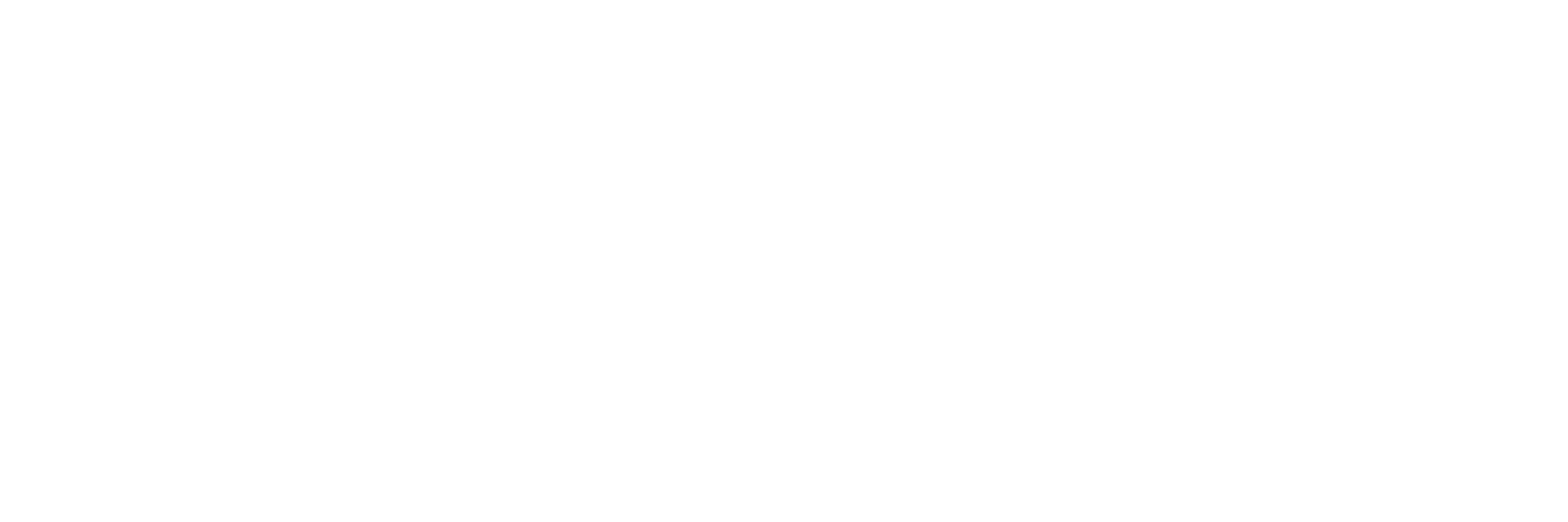 The Institute Of Education