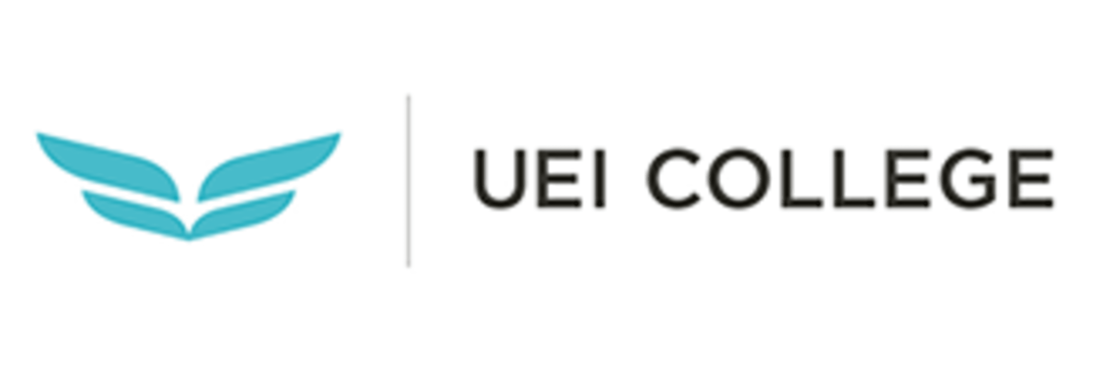 International Education Corporation - Florida Career College/Anthem College, Anthem College Online, UEI College