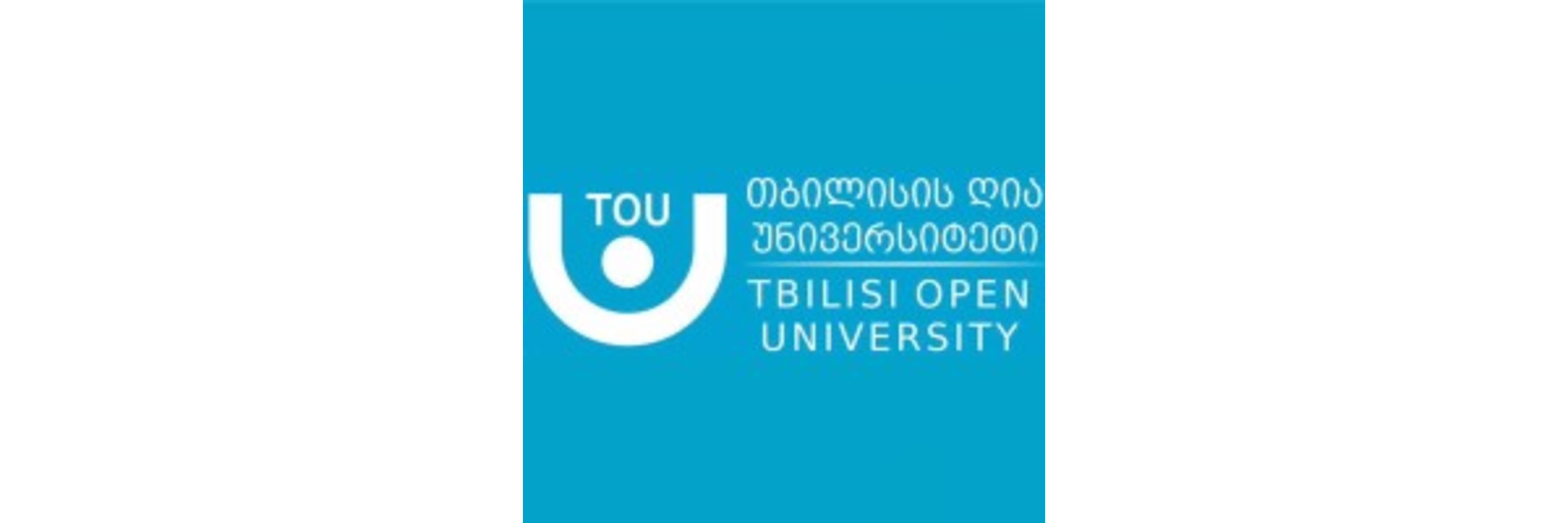Tbilisi Open University (Tbilisi Open Teaching University)