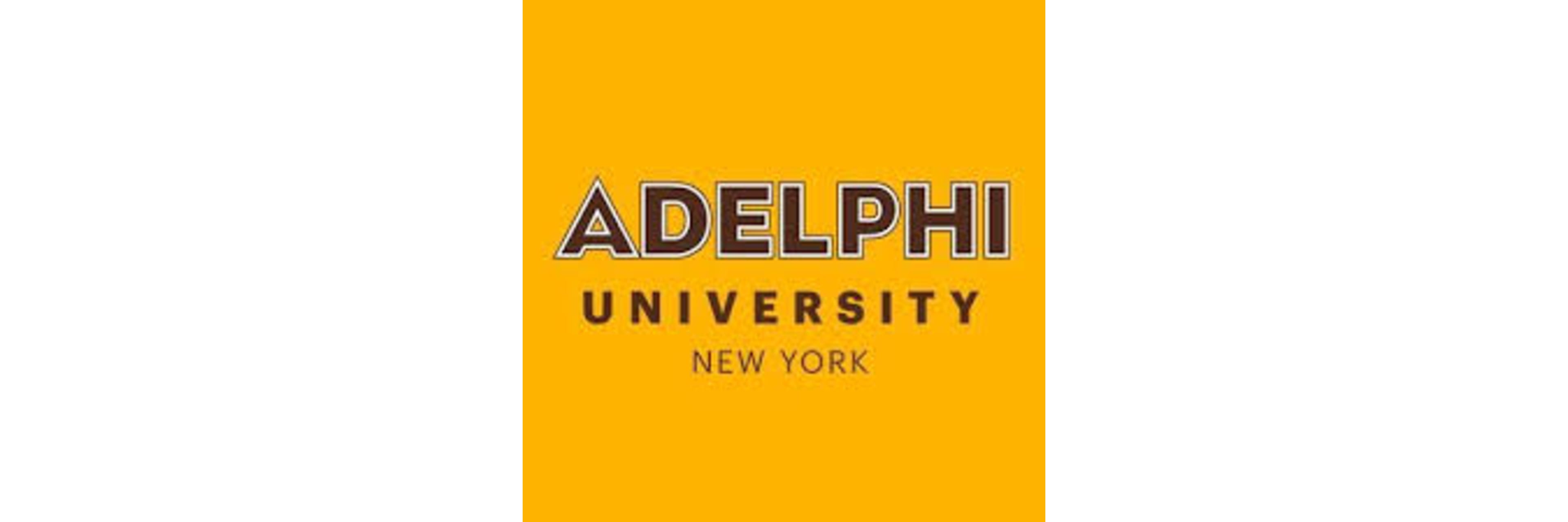 Adelphi University Ruth S. Ammon School of Education & Health Sciences