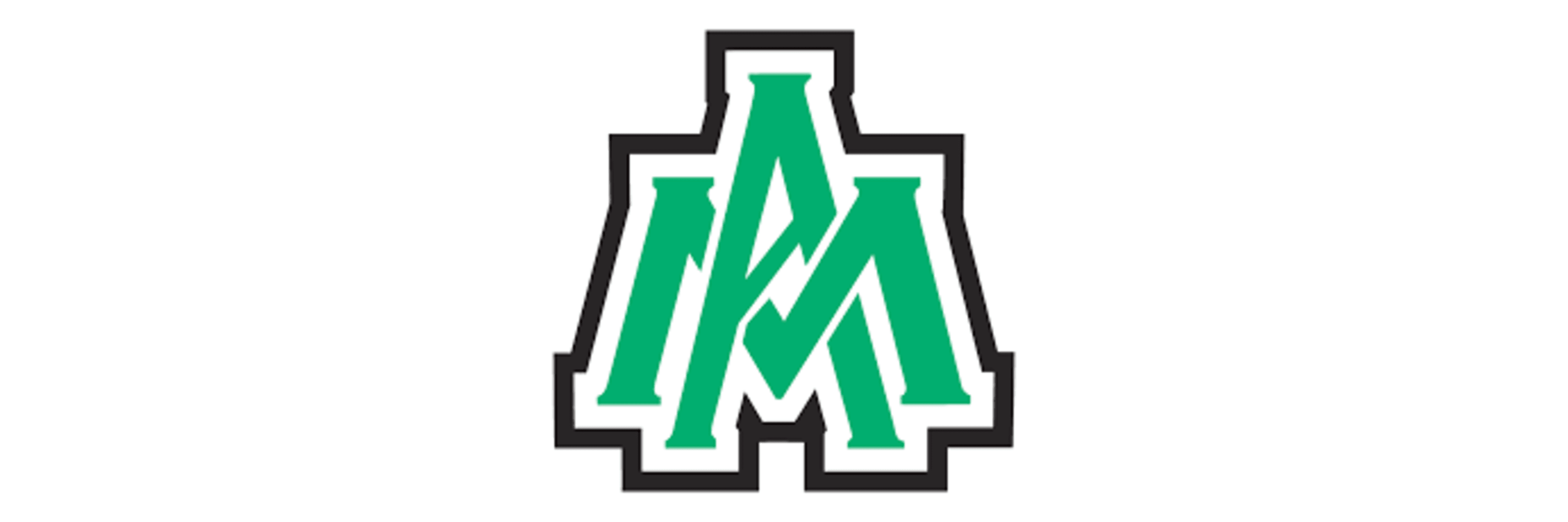 University of Arkansas at Monticello School of Computer Information Systems