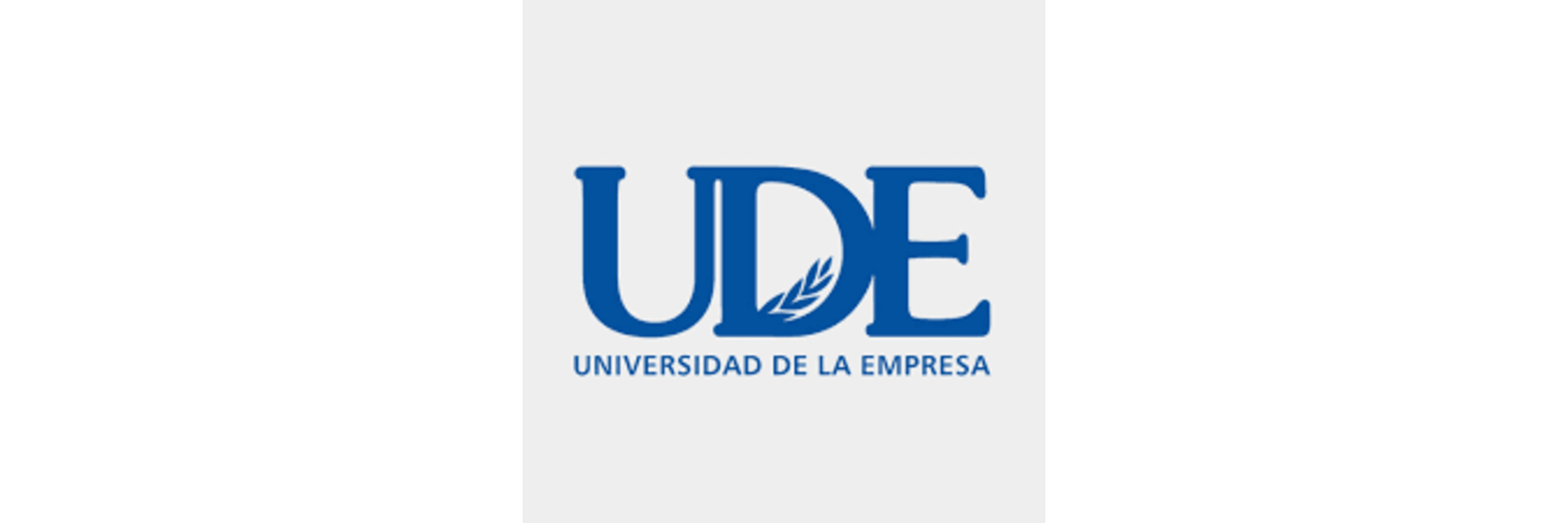 UDE Business University