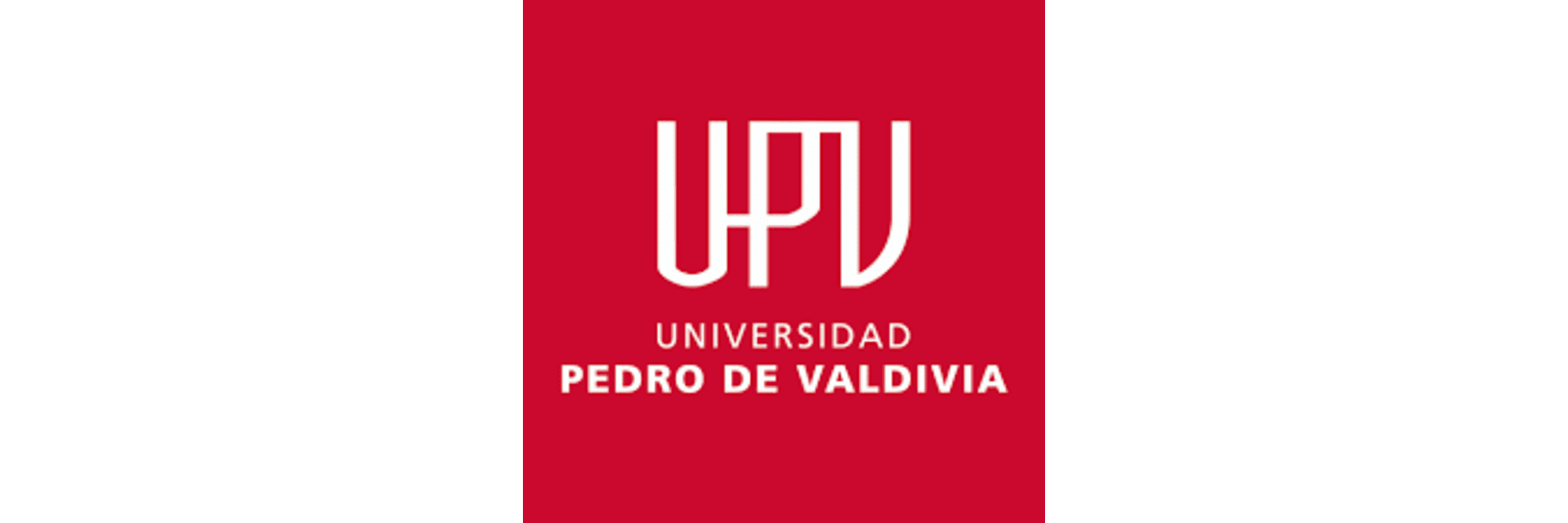 Pedro de Valdivia University