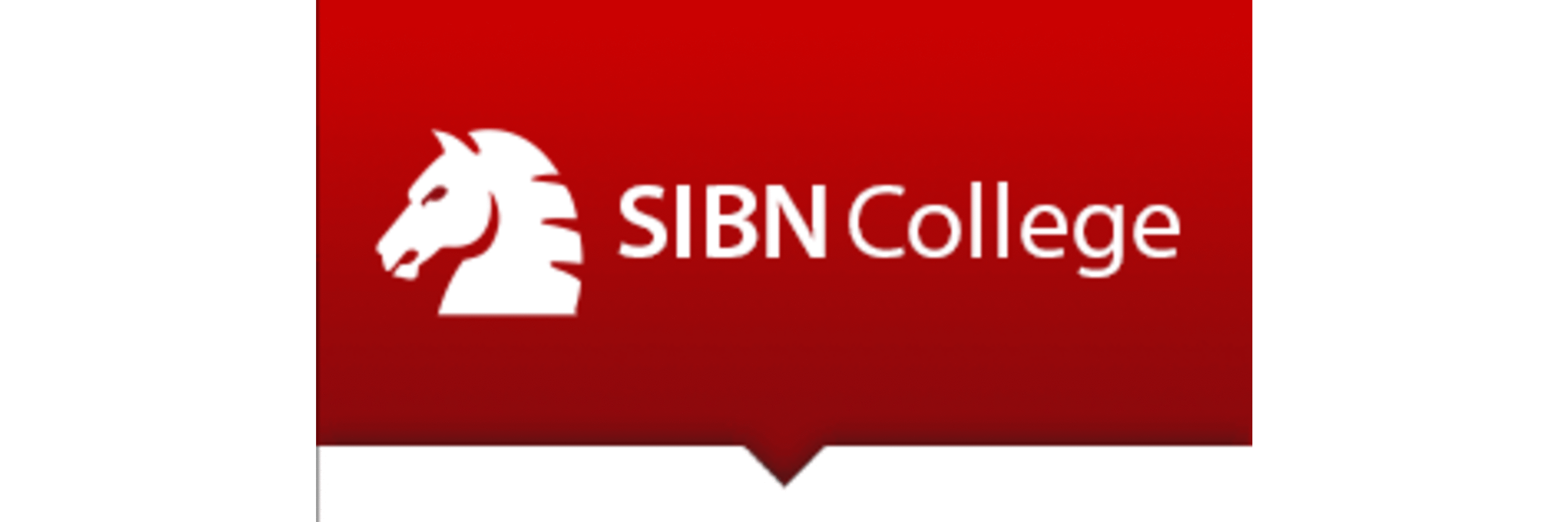 SIBN College