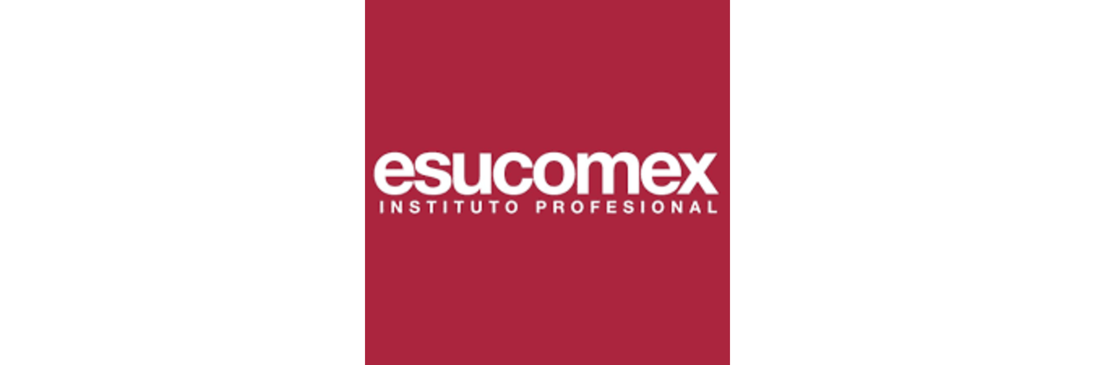 ESUCOMEX Professional Institute (Instituto Profesional ESUCOMEX)