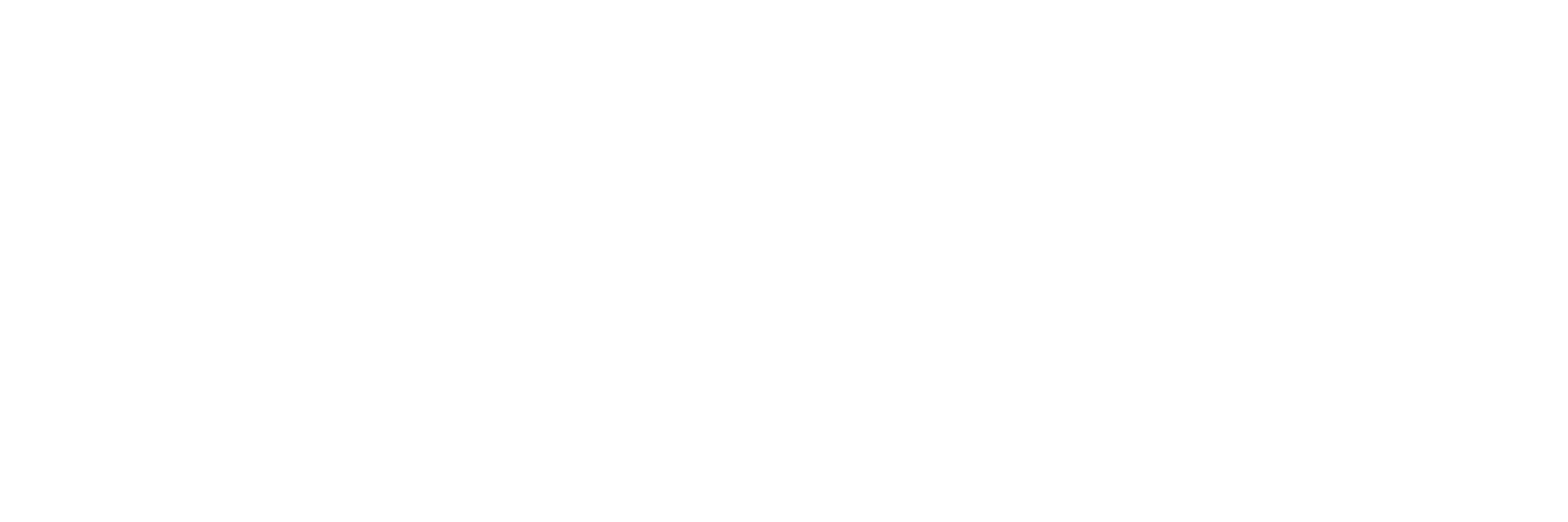 The Institute of International Studies