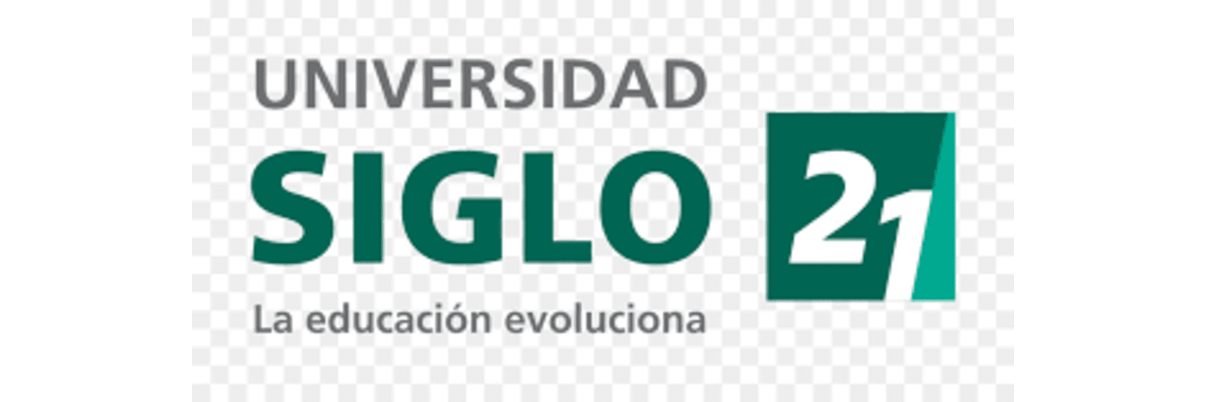University Of The 21St Century