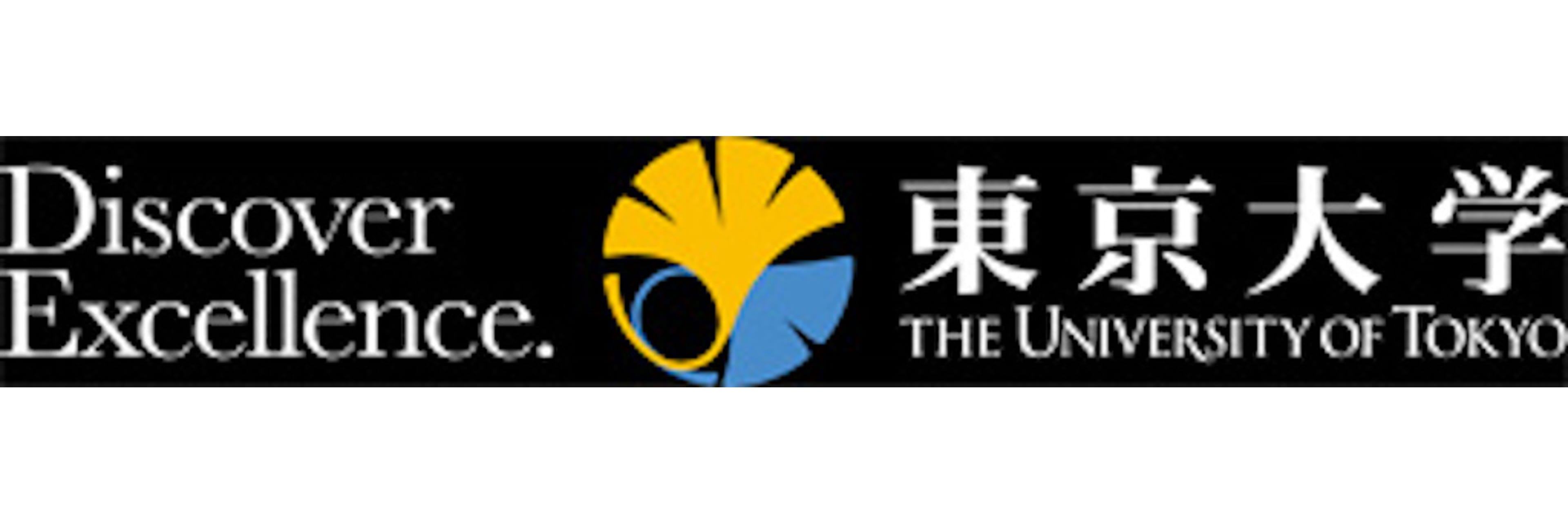 The University Of Tokyo