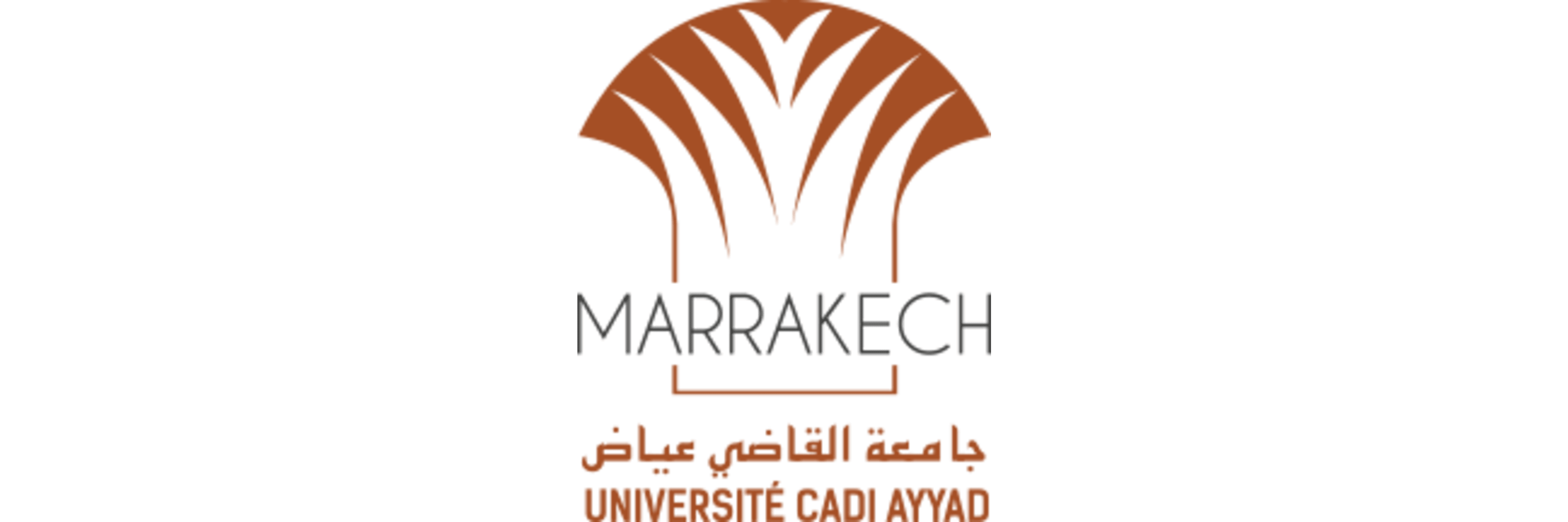 Cadi Ayyad University