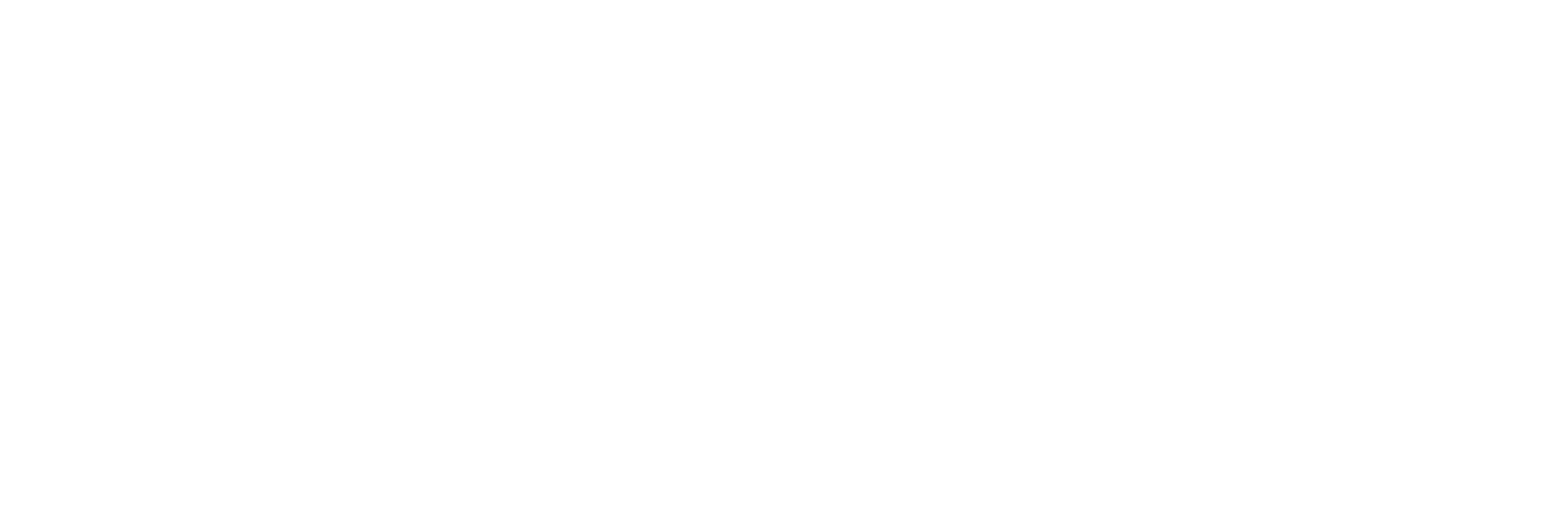 ICO NIDA International College
