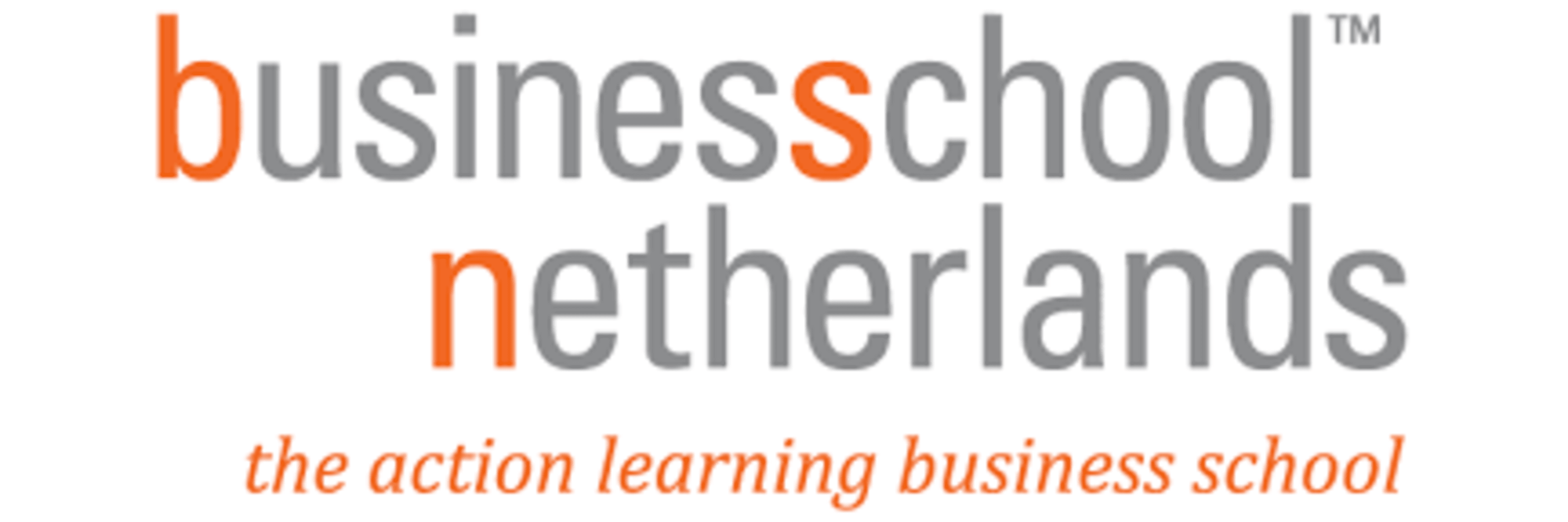 Business School Netherlands Nigeria