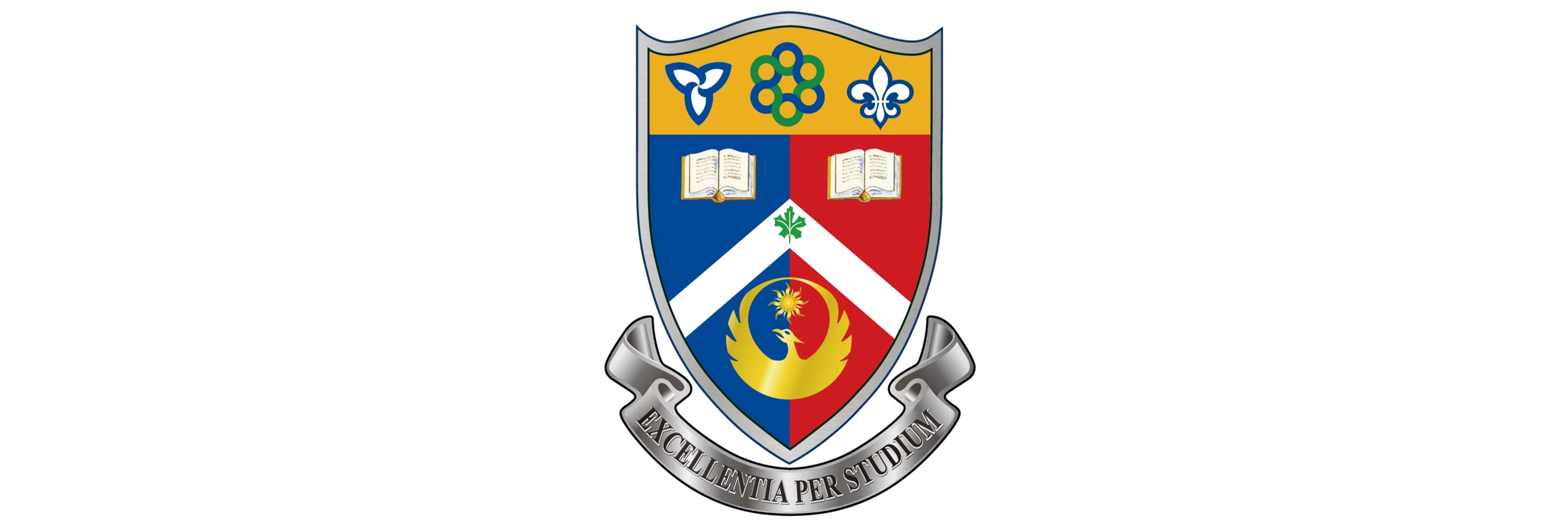 Toronto International College