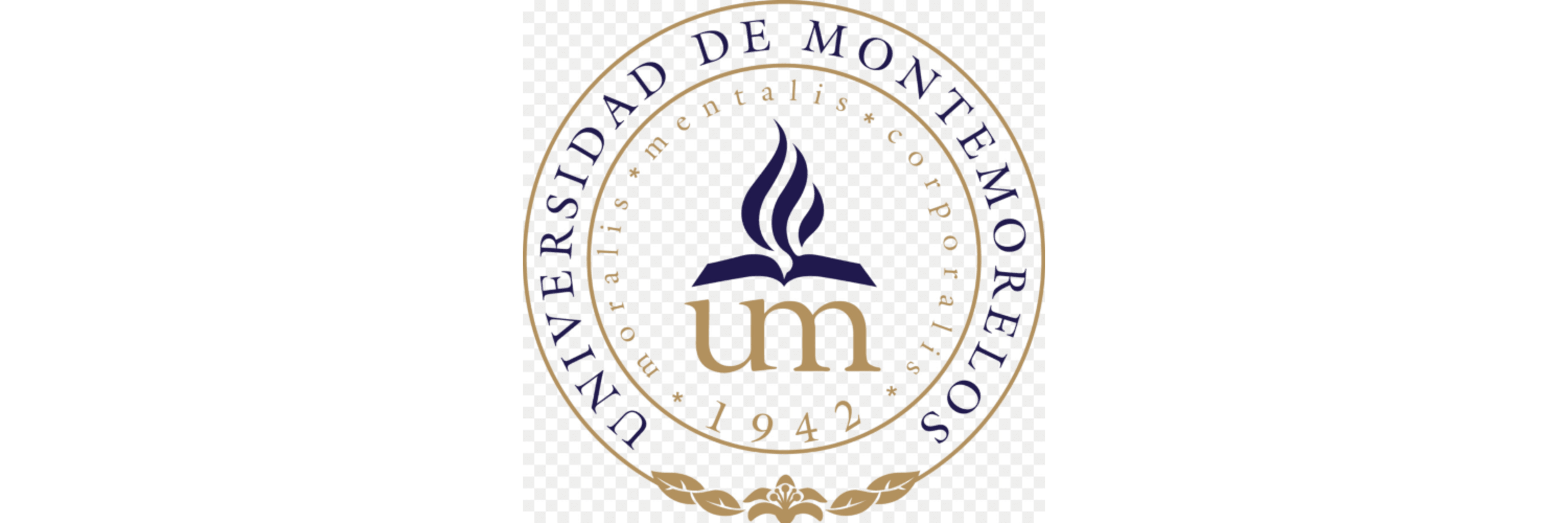 UNIVERSIDAD DE MONTEMORELOS