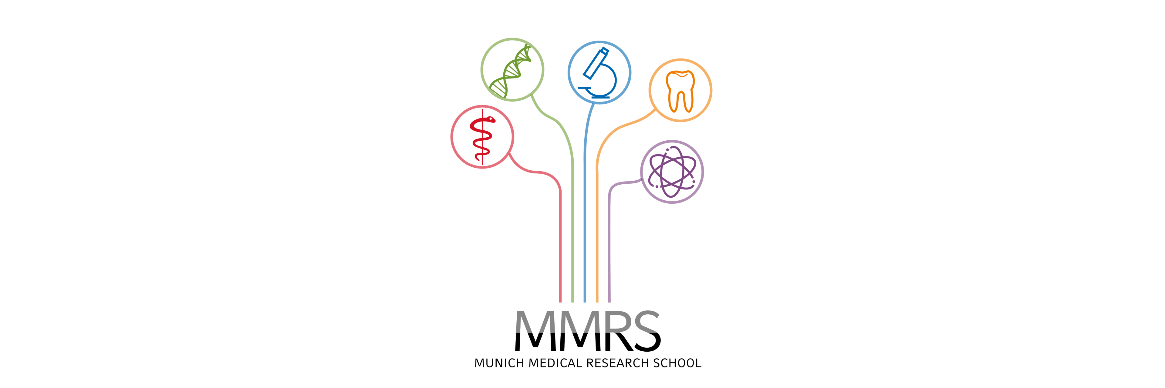 LMU University – Faculty of Medicine