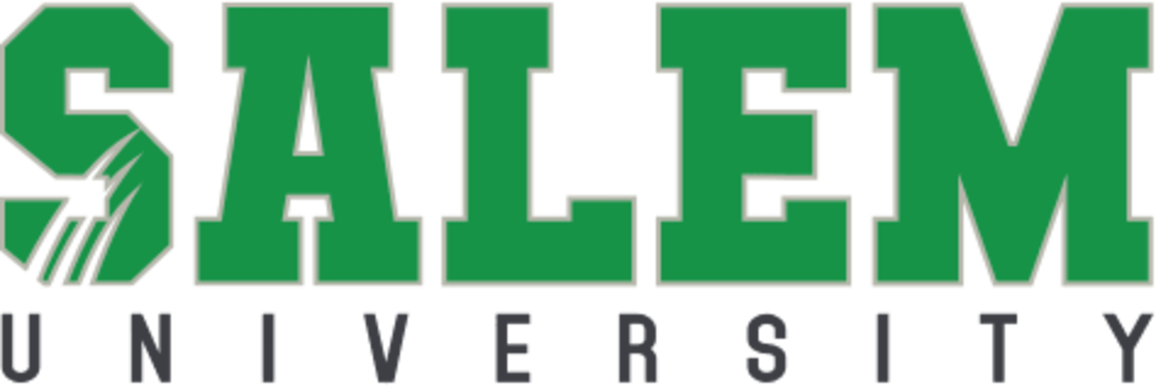 Salem University