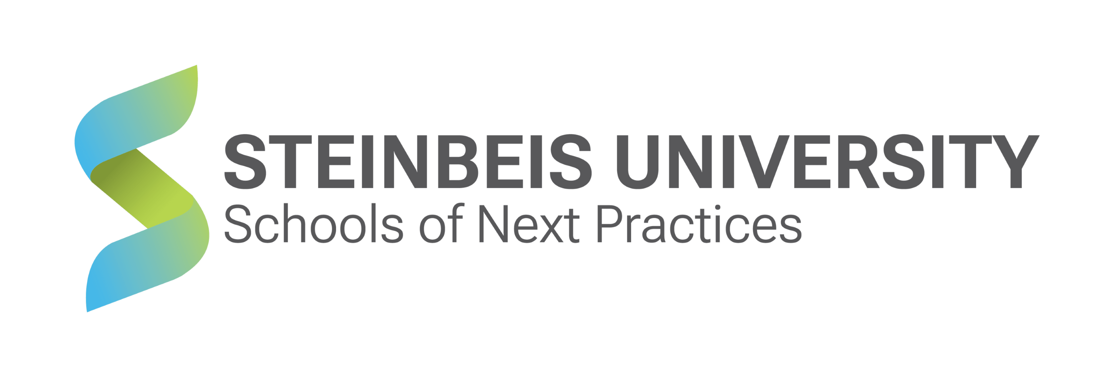 Steinbeis University – Schools of Next Practices