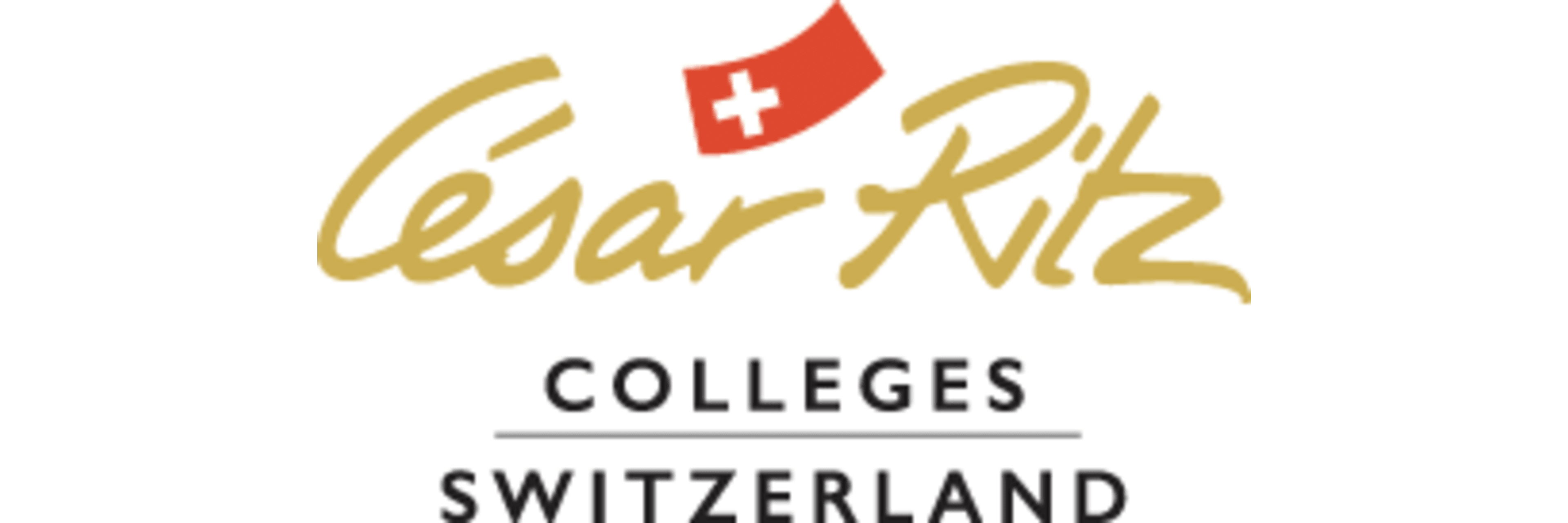 Cesar Ritz Colleges Switzerland - SEG