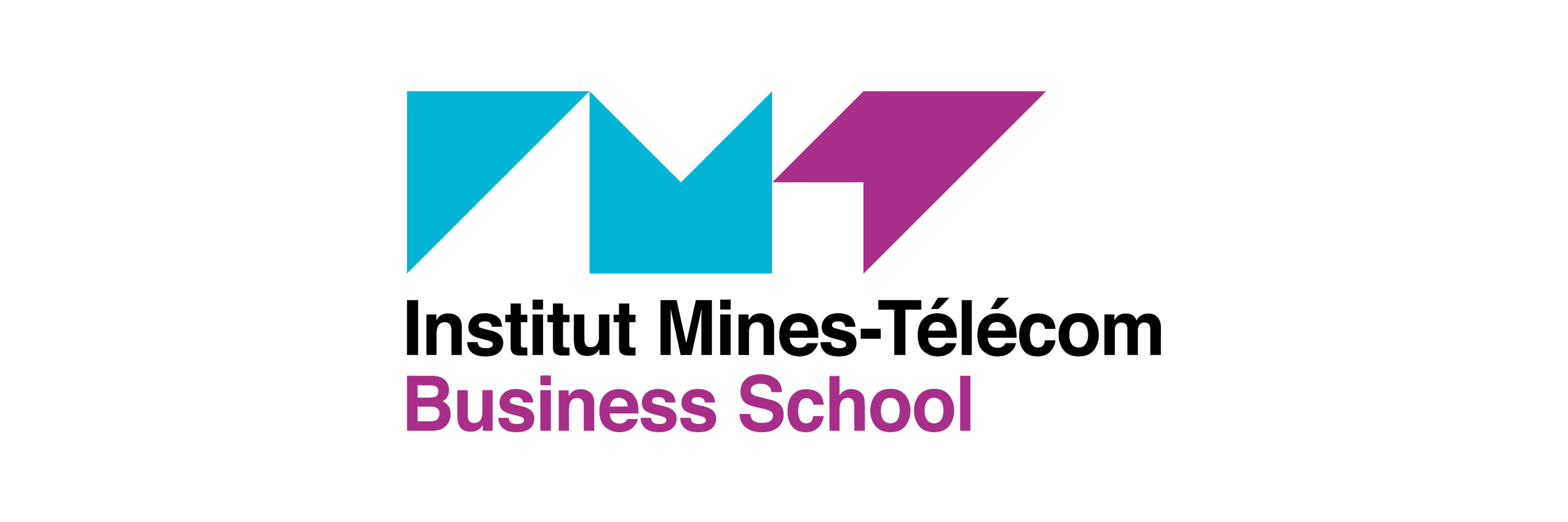 Institut Mines-Telecom Business School