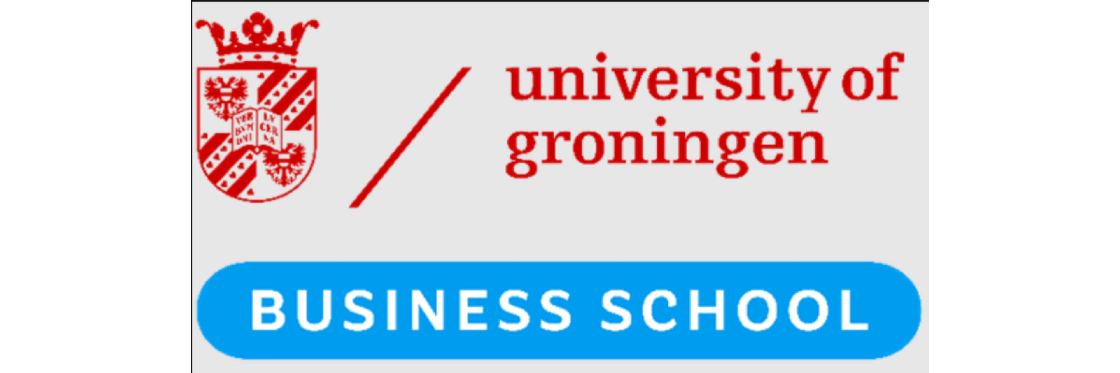 University of Groningen Business School