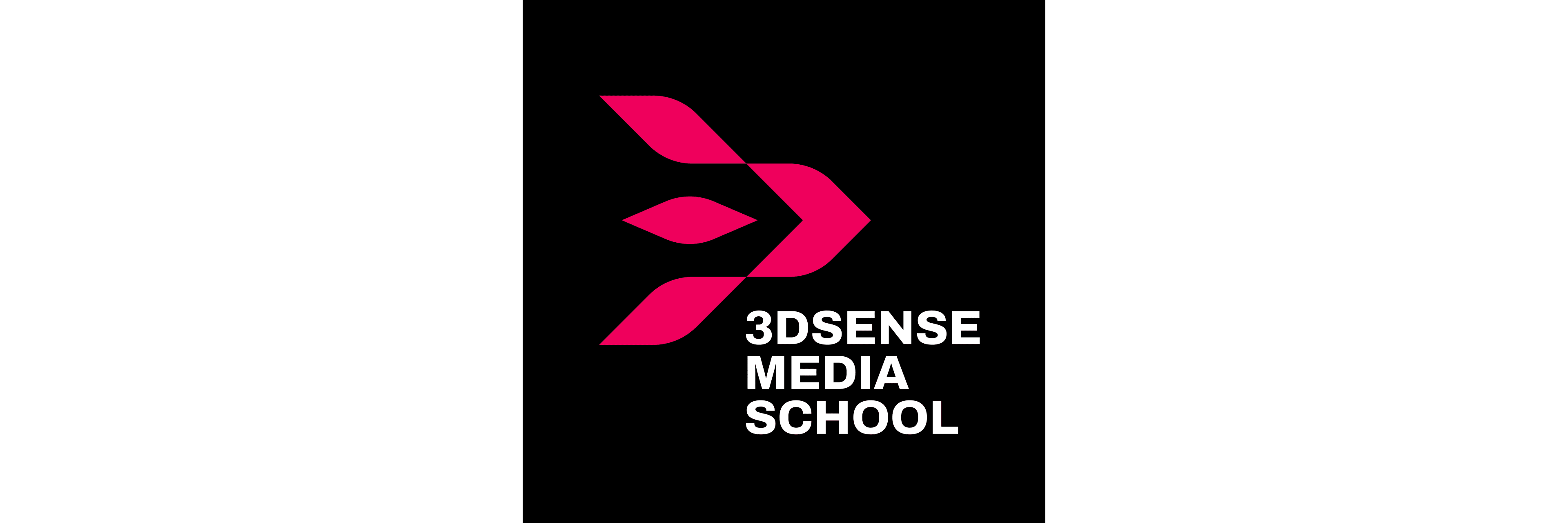3dsense Media School