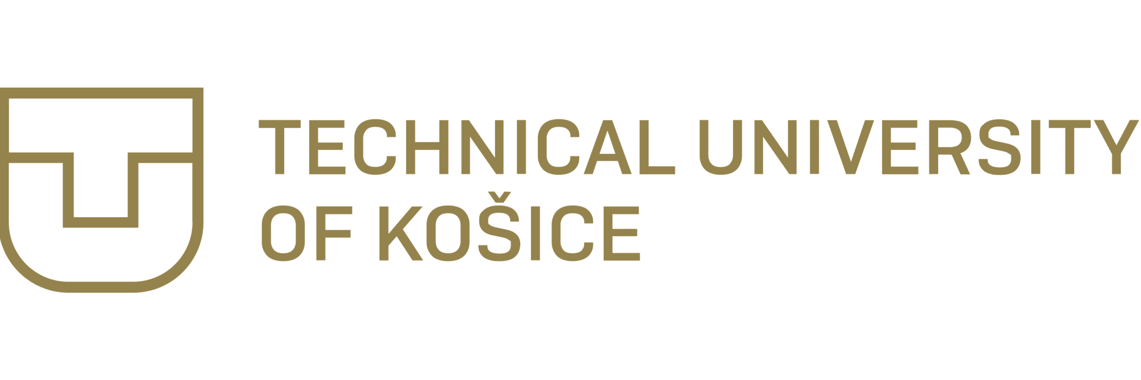 Technical University of Košice